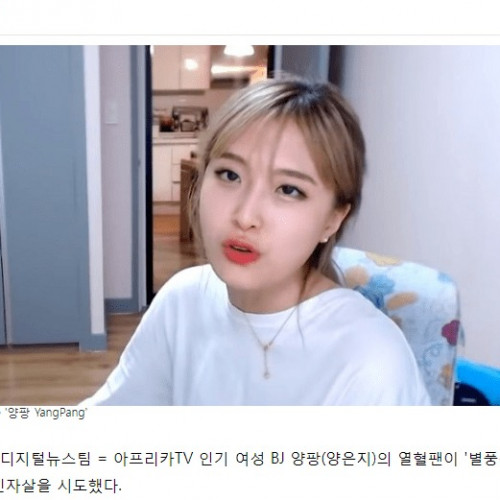 와 Bj 양팡 열혈팬 천호대교서 투신 자살 시도 자유게시판 짤박스 