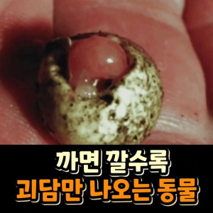 까면 깔수록 괴담만 나오는 동물