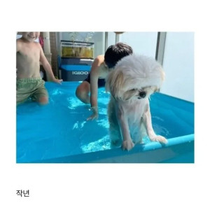 강아지도 감당안되는 아이의 체력 근황